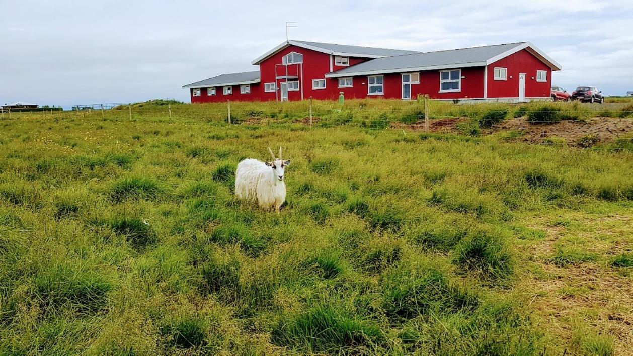 Skalatjoern Guesthouse Skalatjorn المظهر الخارجي الصورة