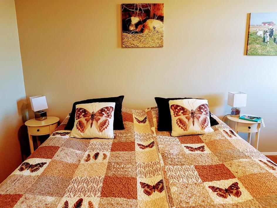 Skalatjoern Guesthouse Skalatjorn المظهر الخارجي الصورة